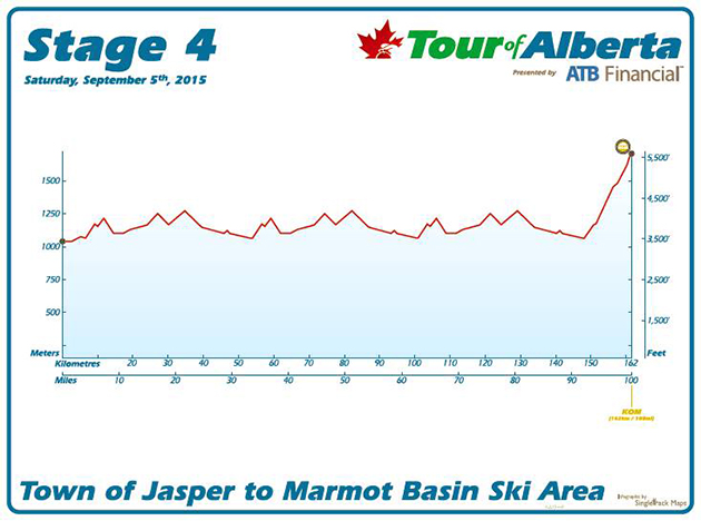 Stage 4 profile